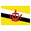 infostealers-Brunei