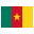 Cameroon flag