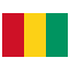 infostealers-Guinea