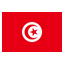 infostealers-Tunisia